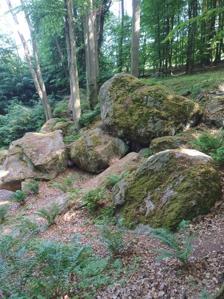 Foto_1
