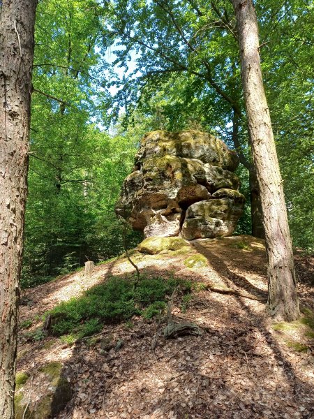 Foto_2