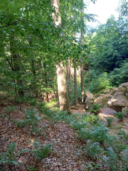 Foto_3
