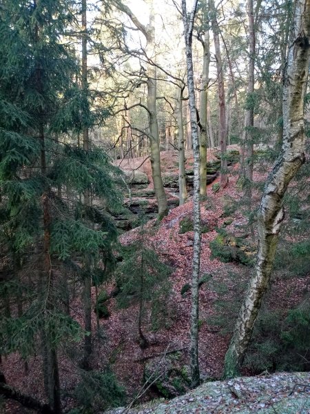 Foto_6